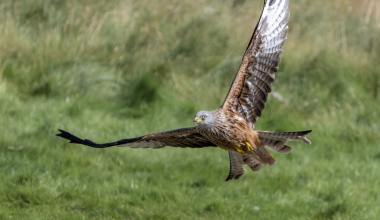 DSC4385x-Copy-scaled